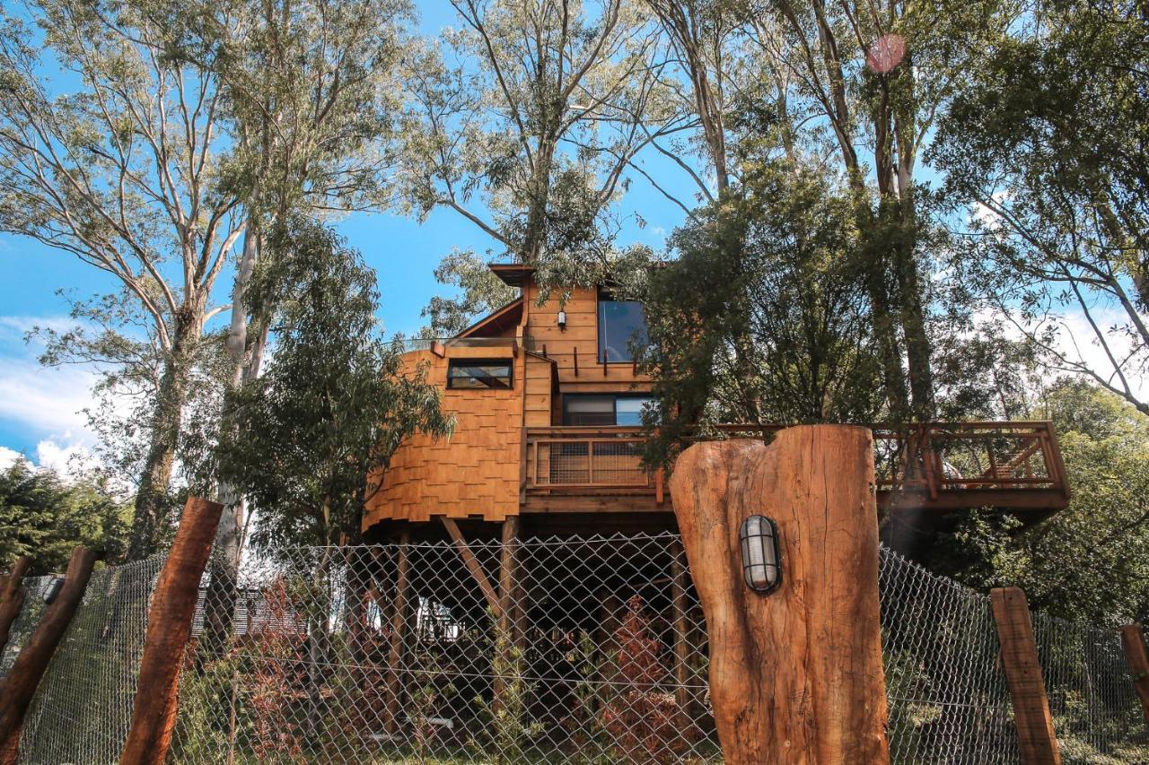 Casa Na Arvore Morada Dos Vagalumes Фаропиля Екстериор снимка
