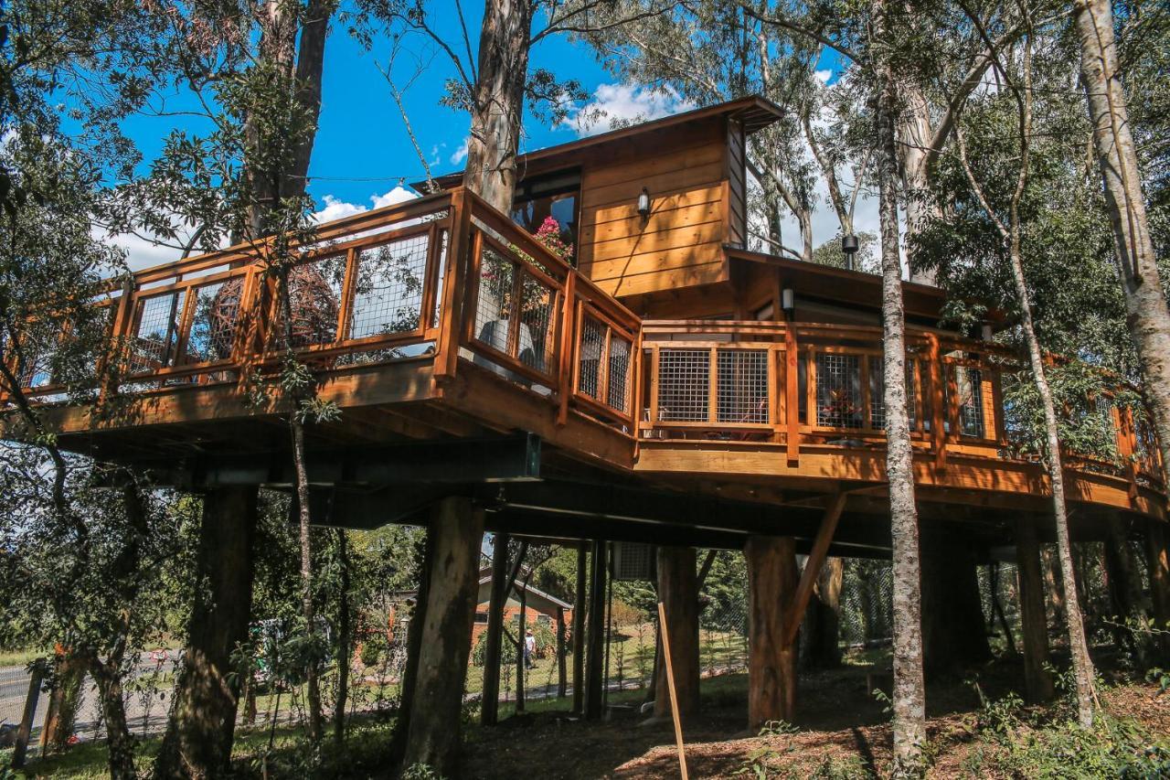 Casa Na Arvore Morada Dos Vagalumes Фаропиля Екстериор снимка