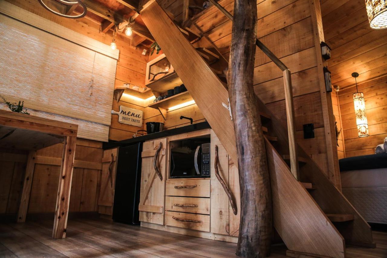 Casa Na Arvore Morada Dos Vagalumes Фаропиля Екстериор снимка